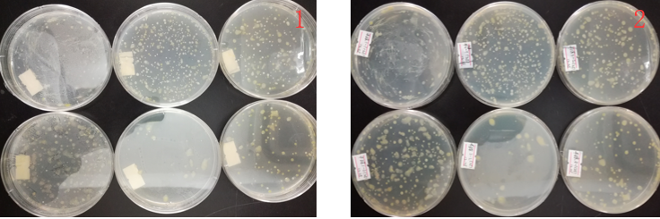 “超聲波處理對稻谷表面微生物的影響”發(fā)表論文啦??！