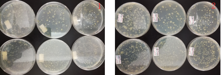 “超聲波處理對稻谷表面微生物的影響”發(fā)表論文啦??！