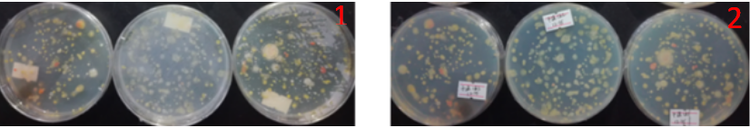 “超聲波處理對稻谷表面微生物的影響”發(fā)表論文啦??！